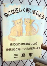 cat sign board